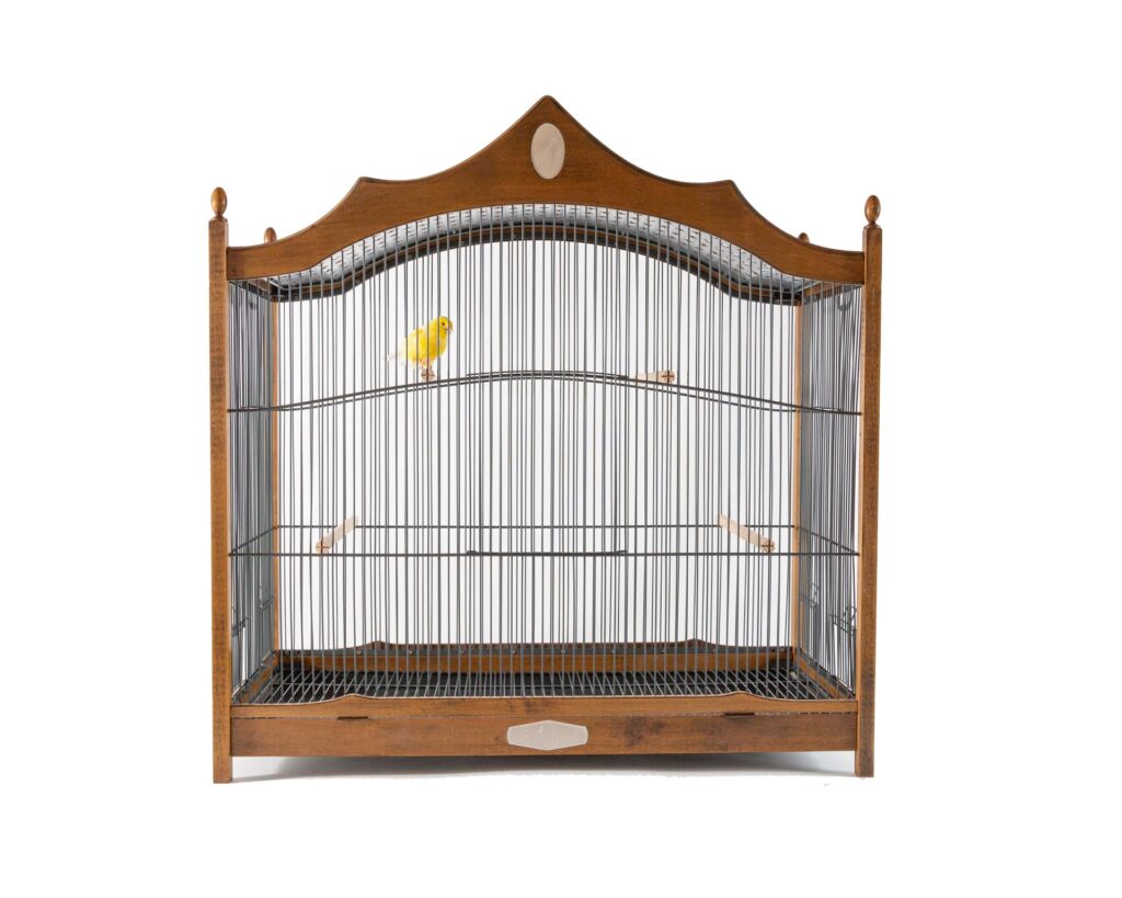 Bird Enclosure for canaries, Bird Cage for Canary, Best Canary cage with stand, Outdoor canary cages, Bird Enclosure, Large cage or enclosure for birds