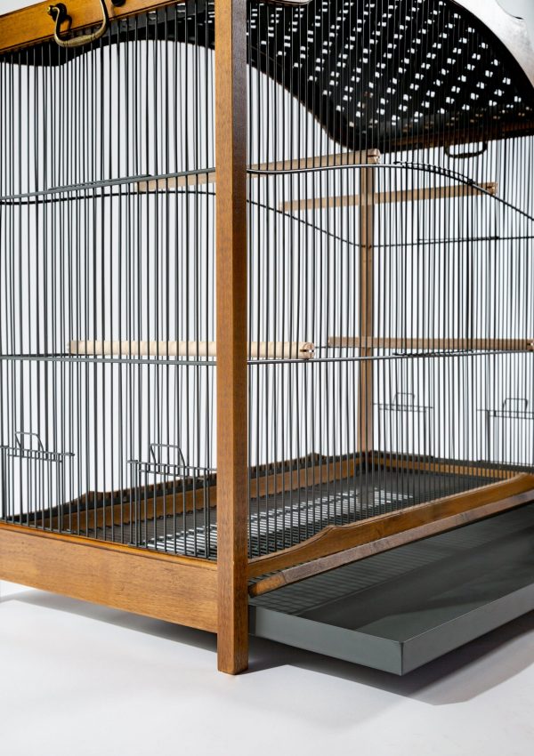Songbird Bird Enclosure, Bird Enclosure for canaries, Bird Cage for Canary, Best Canary cage with stand, Outdoor canary cages, Bird Enclosure, Large cage or enclosure for birds