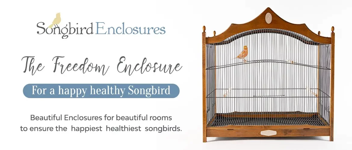 Songbird Freedom Enclosures, bird enclosures for sale, Large enclosure for birds, Canary bird cage, Custom bird cages, Cage for canaries